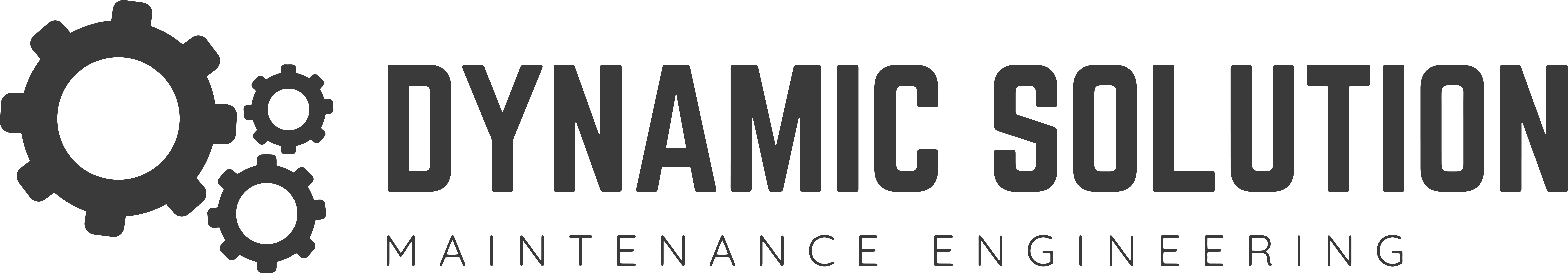 Dynamic Solution Logo